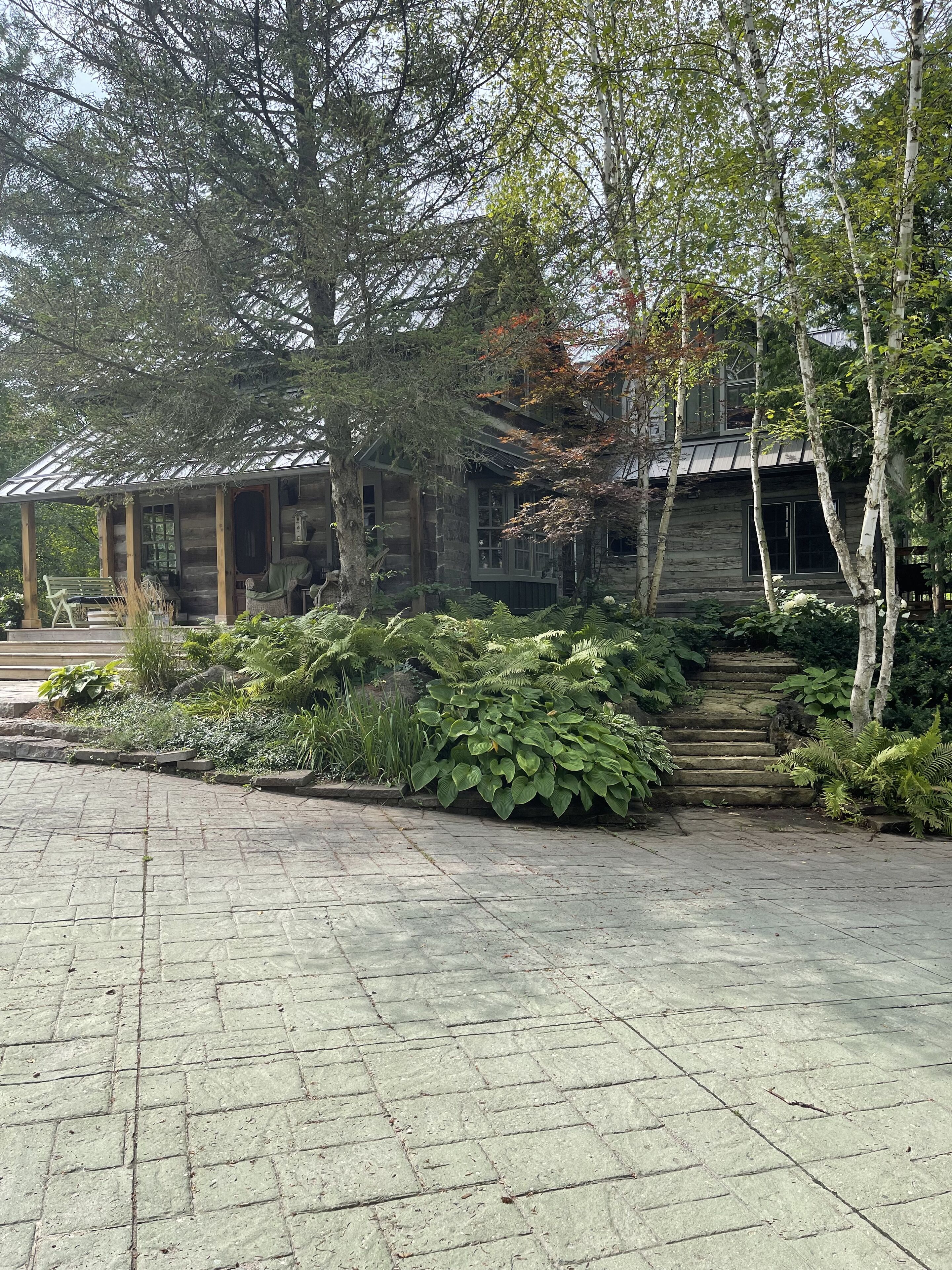 Hidden Treasure cabin 