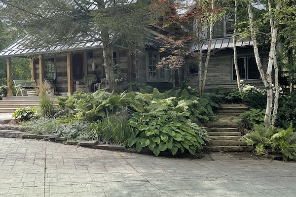 Hidden Treasure cabin