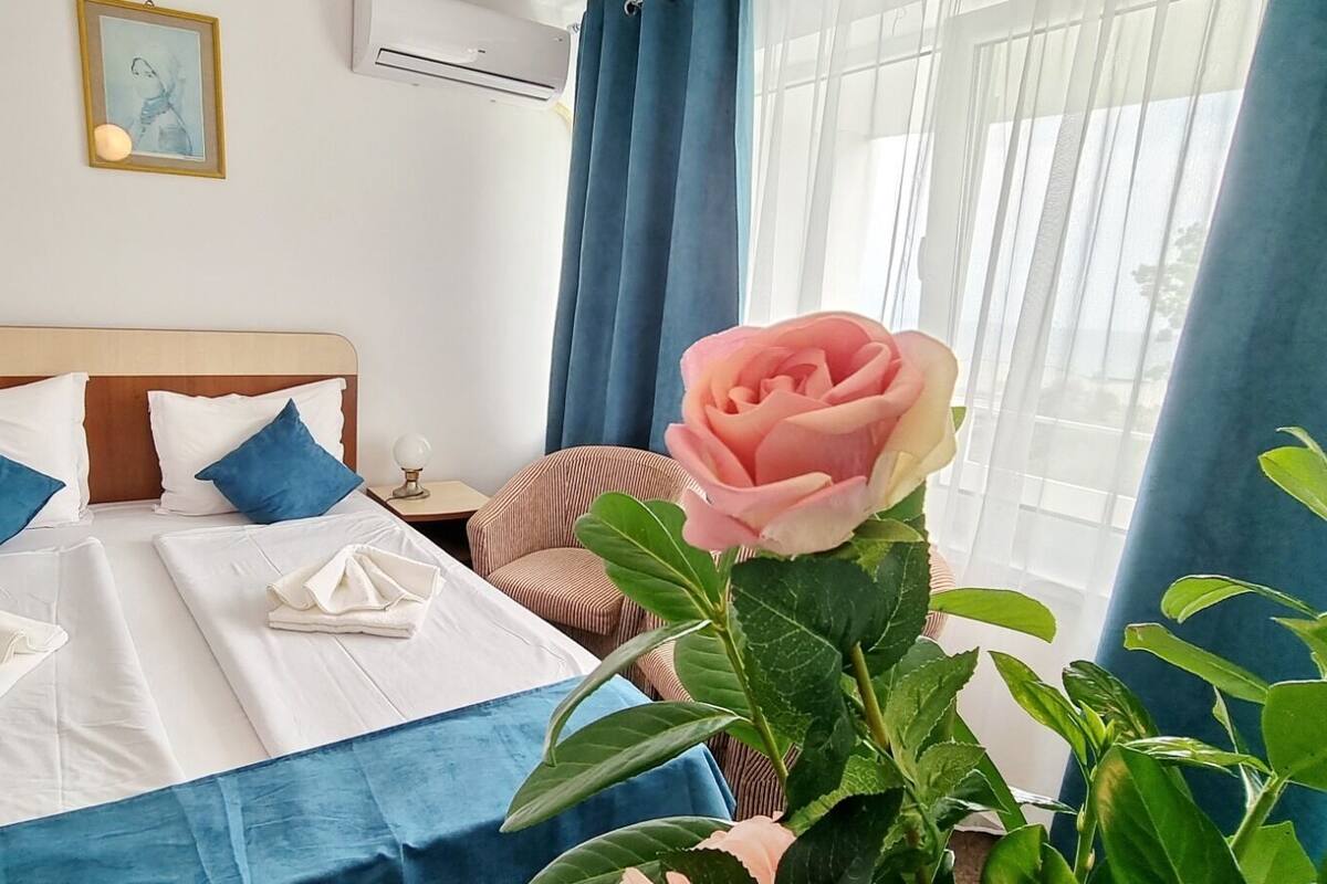 Une chambre d’hôtel avec un lit, deux oreillers, une table de chevet, une lampe, une fenêtre avec des rideaux et une plante en pot ornée d’une rose.