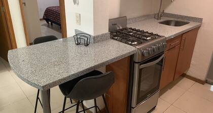 Plaza del Sol / Expo Guadalajara Departamento Completo (Planta Baja)