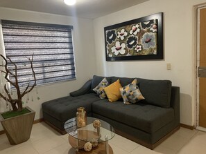 Smart TV - Plaza del Sol / Expo Guadalajara Complete Apartment (Ground Floor) (Guadalajara)