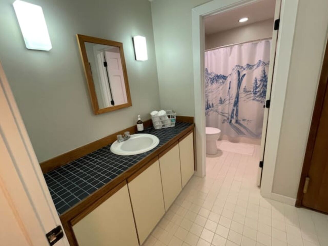 Combined shower/tub, jetted tub, hair dryer, towels