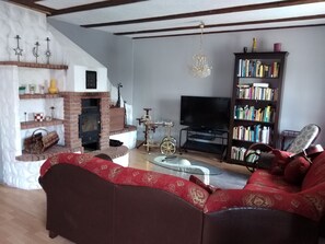 TV, fireplace