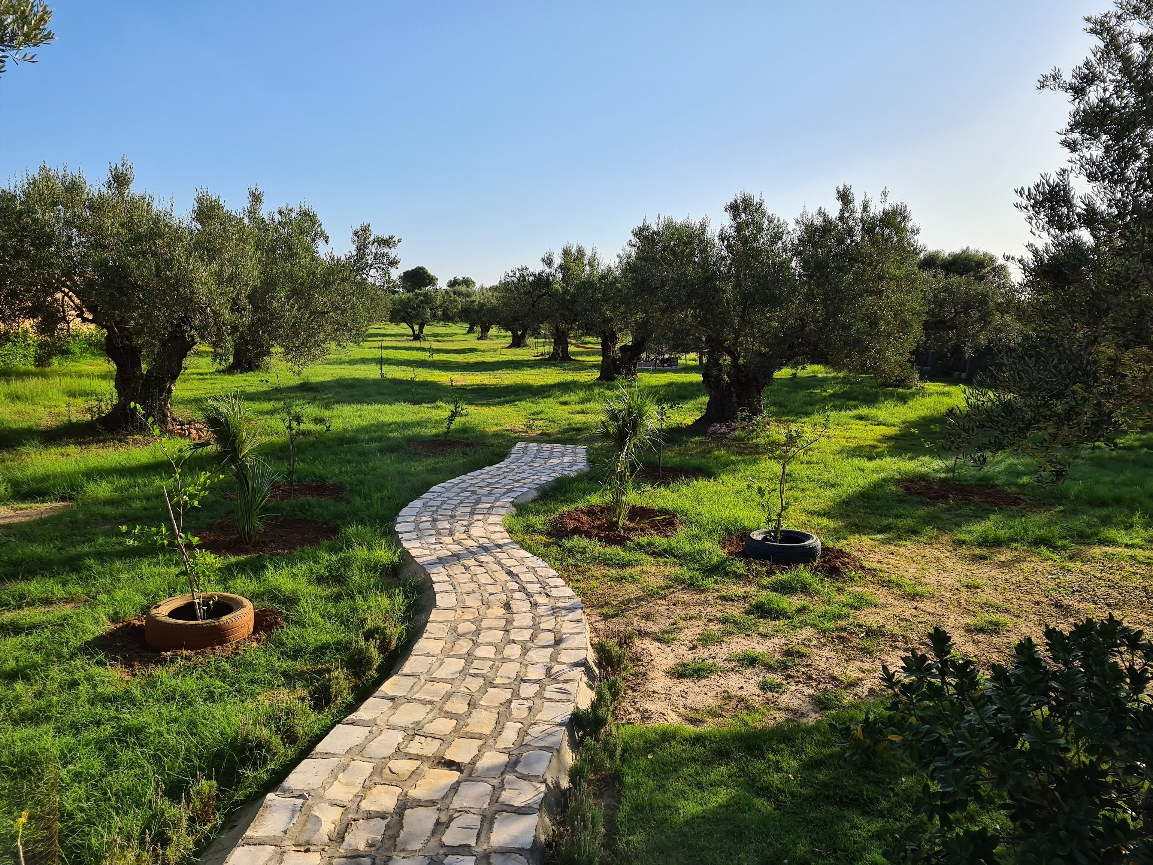 Enceinte de l’hébergement
