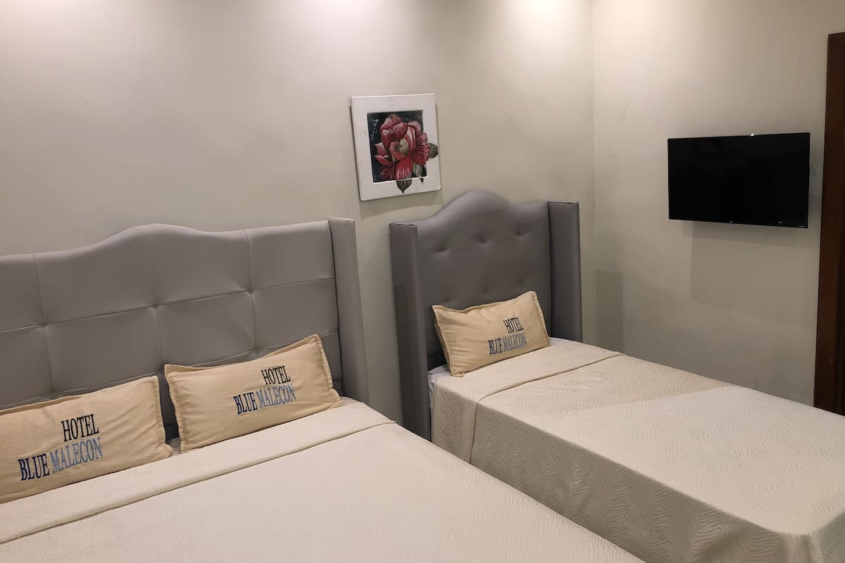 Deux lits simples avec des têtes de lit, un tableau encadré accroché au mur et un téléviseur à écran plat fixé au mur.