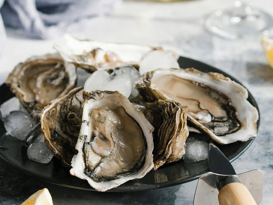 A plate of oysters on ice with a knife and a lemon wedge.