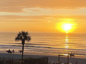 On the beach, sun-loungers - MARGIE’S OCEANFRONT DREAM PLACE with 55” TV (Myrtle Beach)