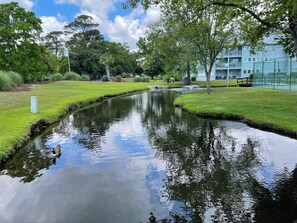 Meandering water channel surrounded by lush greenery and trees, offering a tranquil atmosphere.