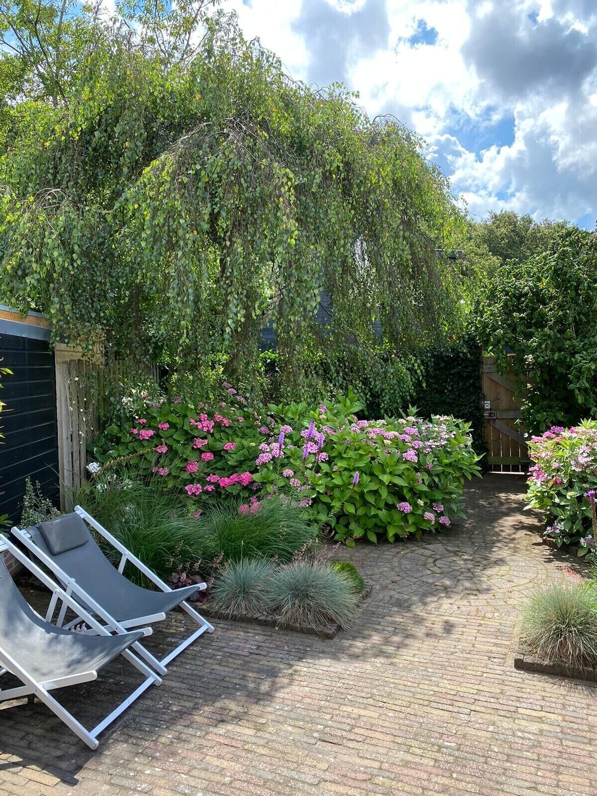 A garden with a brick pathway, a wooden fence, and a row of sun loungers.