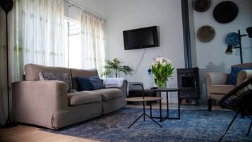Smart-TV, Kamin