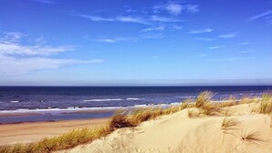 Ein Strand mit Dünen und dem Meer.