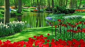 Ein üppiger Garten mit einem Teich, roten Tulpen und verschiedenen anderen Blumen.