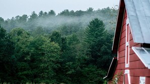 Ein rotes Bauernhaus mit Metalldach, umgeben von einem üppigen grünen Feld und einem dichten Wald im Hintergrund.