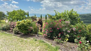 A garden with a cobblestone path, flowering plants, and a lamp post. - Casa San Rocco Piemonte - bjergtop - 360 udsigt - pool. (Montabone)