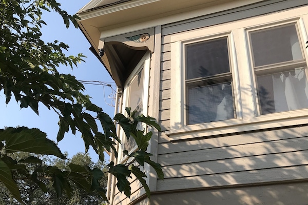 Detall de l'exterior