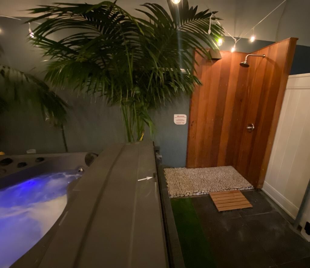 Une salle de spa équipée d’un bain à remous, d’une cabine de douche en bois et d’une grande plante en pot.