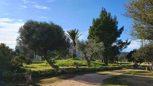 A park with a dirt path, green grass, and various trees. - Country house (Pula)