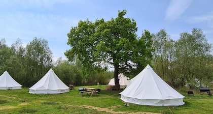 The Elm Tent 4 Persons Glamping in Woodlands