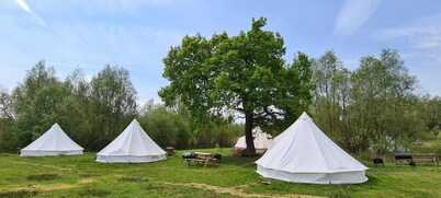 The Elm Tent 4 Persons Glamping in Woodlands