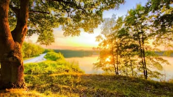Cabin, nhiều giường | Khuôn viên nơi lưu trú