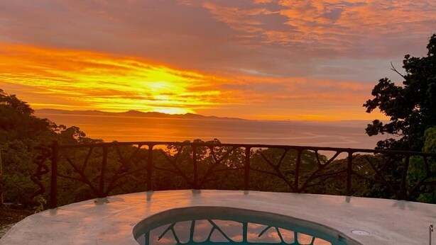 Una piscina con borde curvo y barandilla metálica, rodeada de árboles y con vistas a la puesta de sol sobre el océano.