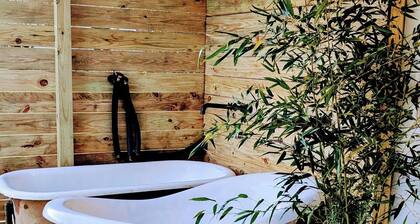 "Dragonfly" Waterfront Cottage on Chesapeake Bay