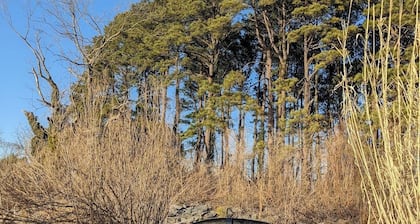 "Dragonfly" Waterfront Cottage on Chesapeake Bay