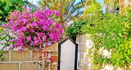 Lovely 2-bed House With Pool and Sea-view, Chayofa