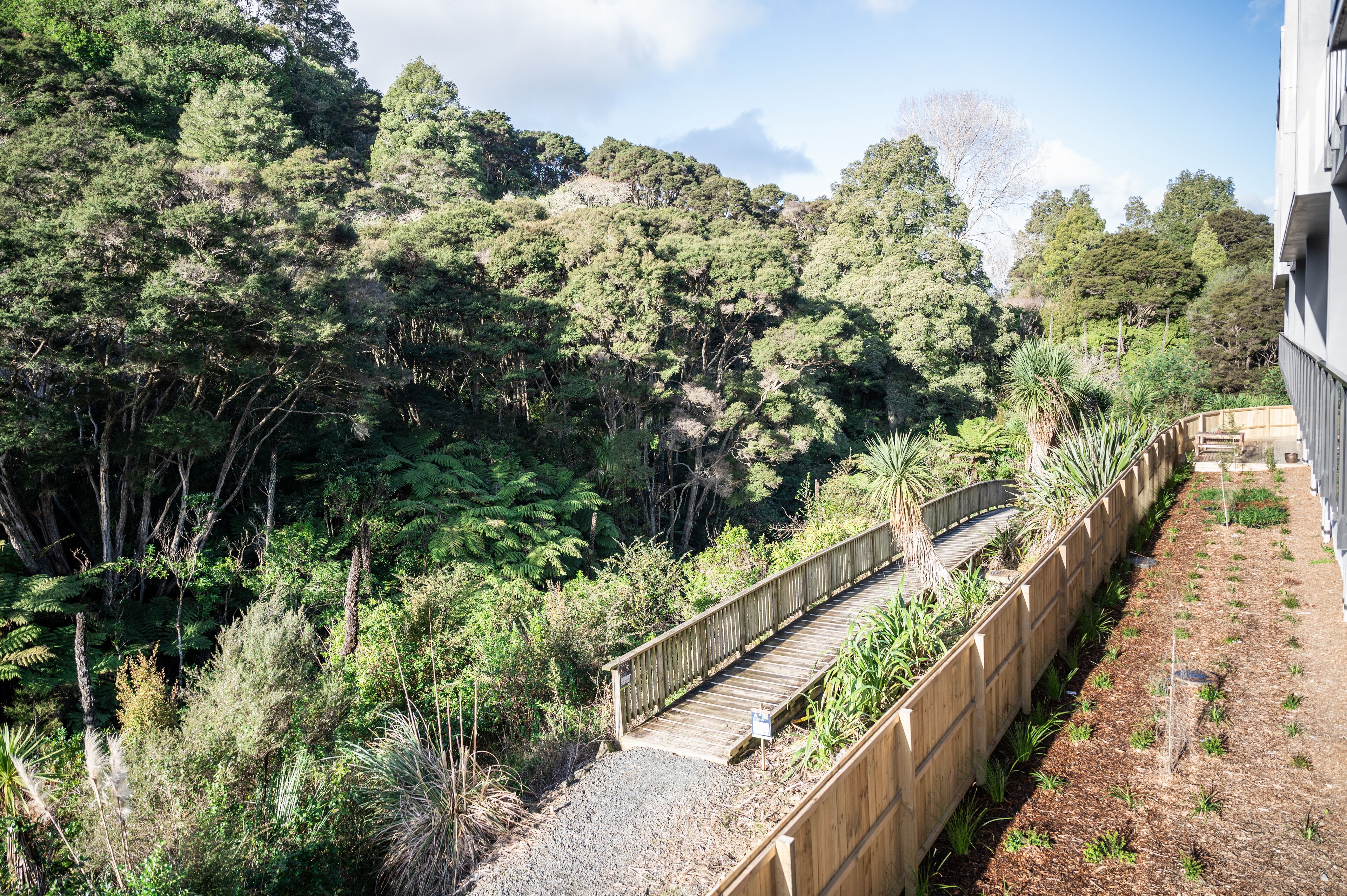 A wooden bridge connecting a building to a forested area with dense trees and a wooden deck.