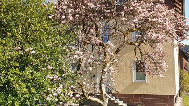 A building with a staircase leading to a door, surrounded by lush green grass and a flowering tree. - Lovingly furnished guest apartments Alpirsbach - Apartment 1 (Alpirsbach)