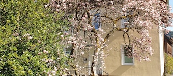 Lovingly furnished guest apartments Alpirsbach - Apartment 1