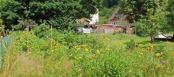 Lovingly furnished guest apartments Alpirsbach - Apartment 1