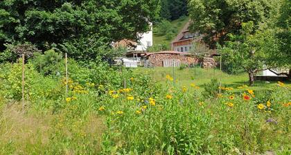 Lovingly furnished guest apartments Alpirsbach - Apartment 1
