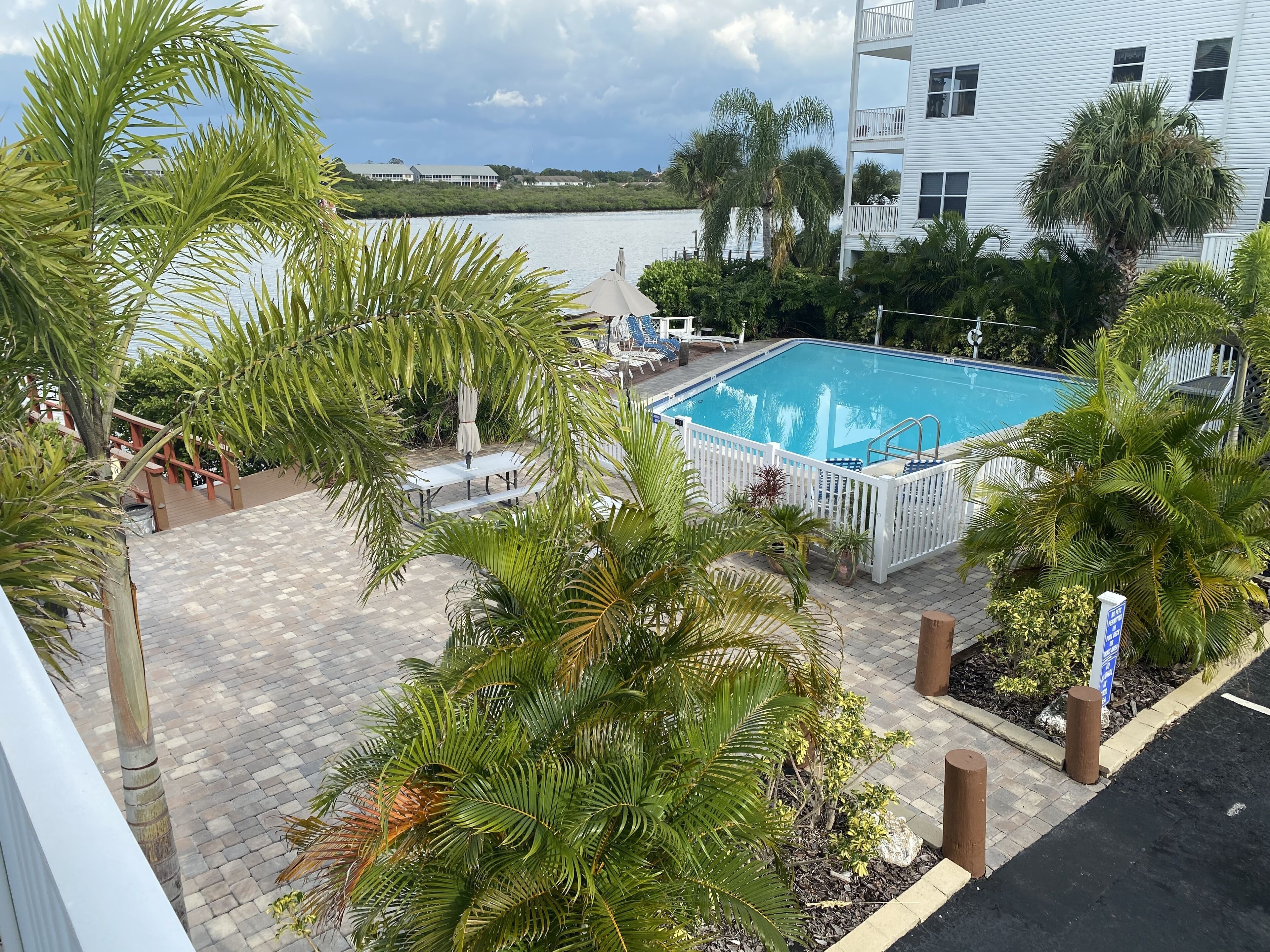 A swimming pool with a white fence, surrounded by palm trees and a building in the background.