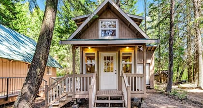 Wonderful lakefront cabin & guesthouse with mountain view & private dock