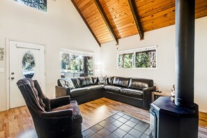 Televisión, chimenea y reproductor de DVD 