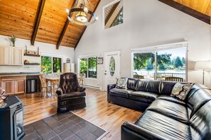 Televisión, chimenea y reproductor de DVD 