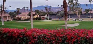 A golf course with palm trees, a well-maintained lawn, and a mountainous backdrop.