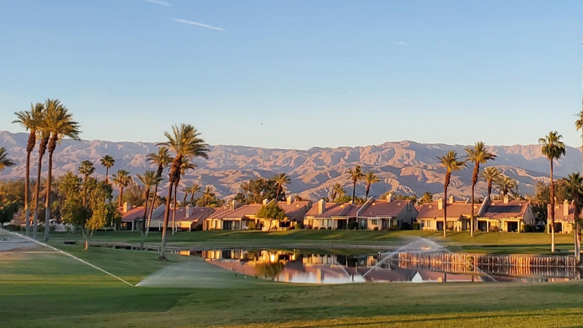 A residential area with houses, palm trees, and a mountain range in the background.