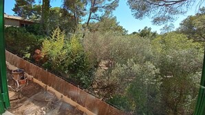 Blick auf einen Garten mit verschiedenen Bäumen und einem Zaun.