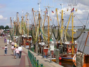 Imagem sem classificação, 3 de 37, botão