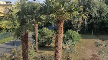 Deluxe Double Room | View from room