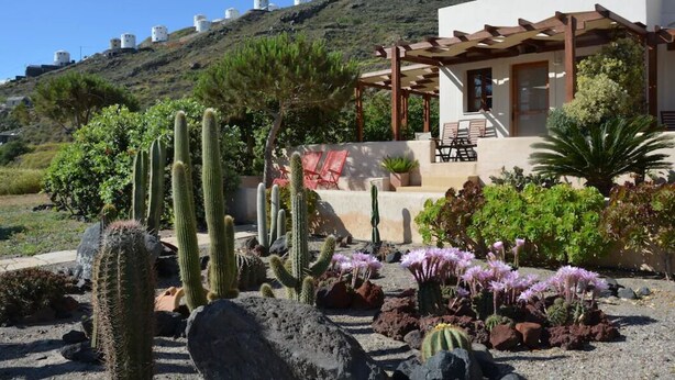 A desert garden with cacti and flowering plants, a patio with outdoor furniture, and a building with a white facade and wooden pergola.