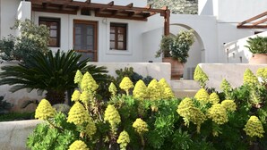 Un bâtiment blanc avec des poutres en bois, une grande fenêtre et une porte. On aperçoit, au premier plan, des plantes en pot et un palmier.