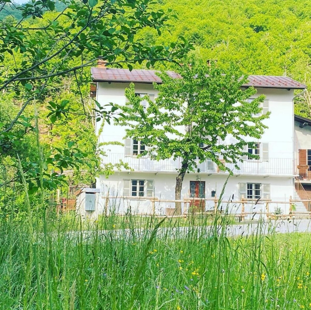 Bild für Gastgeberprofil