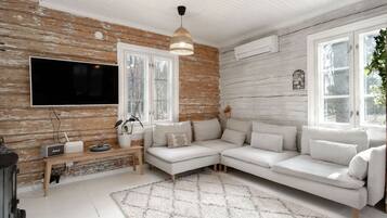 Älytelevisio, takka, kirjoja, stereot