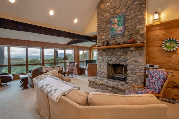 TV, fireplace, books