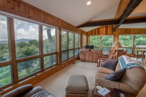 Fernseher, Kamin, Bücher