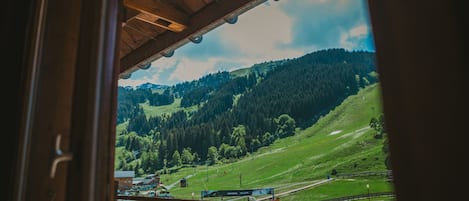 Vista a la montaña