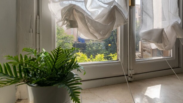 Ein Fenster mit durchsichtigen Vorhängen, einem Blumentopf und einem Blick auf Grün draußen.